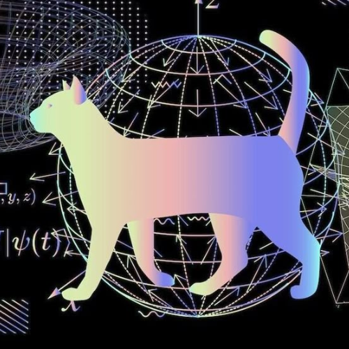 QuantumCat 1